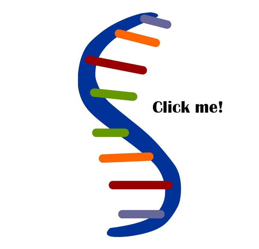 Cell RNA Flow Analysis